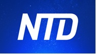 [NTD]